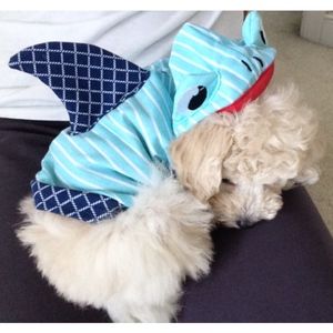 martha stewart pets | shark costume.